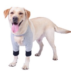 강아지 보조기 슬개골 관절 보호대 앞다리 재활 방한 2XL, 상세설명 참조, 그레이 2XL