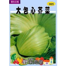 【野菜部屋~】H05 大包心芥菜種子, 1包