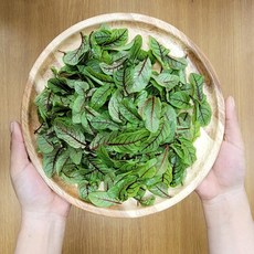 레드 소렐 쏘렐 허브농장 식용허브 20g, 1개