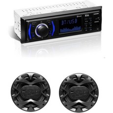 보스 오디오 시스템 블루투스 라디오 카 스피커 2개