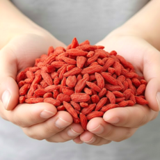 고랭지 영하 구기자 건 구기자, 1개, 300g