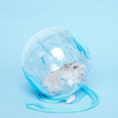 햄스터 헬스볼 휴대끈 장난감 소품 끈, 블루, 블루, 본상품선택
