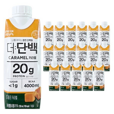 빙그레 더단백 프로틴 드링크 캬라멜, 18개, 250ml