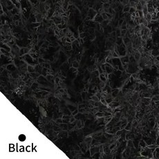 영원한 생명 이끼 DIY 공예 잔디 인공 녹색 식물 홈 룸 정원 장식 미니 풍경 가짜 20/40/100g, 30)100gram, Black