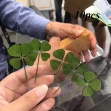 1개 행운의 네잎 클로버 엽서 천연 잔디 투명 소원 카드 치유 신선한 심플한 바람 선물, [01] green-10pcs