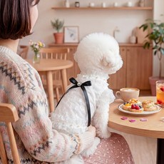 봄여름용 프렌치 레이스 셔츠! 소형견 고양이 공용 진주&리본 장식 고품격 중공공예, White