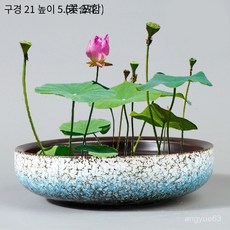 연꽃 수반 도자기 실내 연못 정원 발코니 거실, 대형 블루 수배분 화분