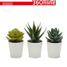 On동네 FEJKA 페이카 인조 다육 식물 화분 6cm 3개 인테리어조화