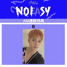 STRAY KIDS VOL.2 [NOEASY] 正規二輯 AM通路特典小卡, B
