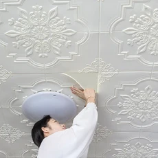 방수 방습 3D 입체 천장 소프트 커버링 스티커 벽지 배경벽, 03 70cm 70cm10PCS