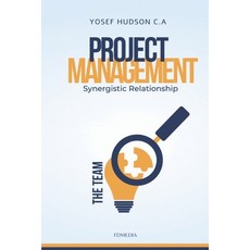 (영문도서) Synergistic relationship: In project management Paperback, Independently Published, English, 9798322504481