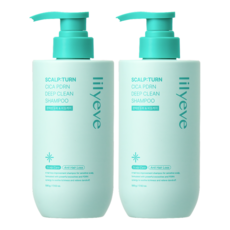 릴리이브 스칼프턴 시카 PDRN 딥클린 샴푸, 500g, 2개