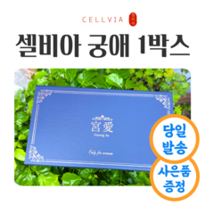 셀비아궁애 이너케어 Y존청결제 1.5g x 10EA 1박스+증정품 2종, 10개, 1g