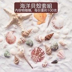 天然貝殼拍照道具 珊瑚 海螺 海膽殼 鮑魚殼 扇貝 拋光 拍照背景 攝像擺拍 裝飾, 100g貝殼套組(隨機), 天然色