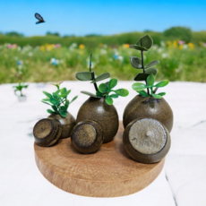 예조 황토옹기 3종우드세트 도자기 소금통 소금단지 옹기도자기 이천도자기 옹기항아리 장독 미니항아리 테라리움키트 미니도자기 현관소금단지 소금단지항아리 미니옹기 정원꾸미기 한국전통선물, 1개