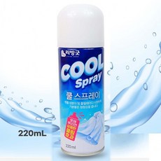 쿨스프레이 220ml 옷에 뿌리면 상쾌한 쿨링 효과 냉각스프레이 미스트 남자 여름 아이스 바디, 1개