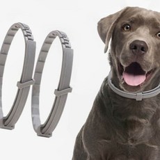 강아지 해충 방지 목걸이 여름용 모기 차단 안전 보호용품_ 202675563EA, 2강아지벌레방지-대형 가, 1