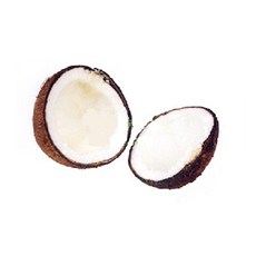 허브야 닷컴 코코넛유 야자유 1L, 1개