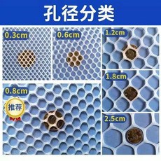 加厚塑料網 5釐米大孔加厚塑料網 陽臺防護網爬藤網封窗網 防貓防掉防墜安全網 加厚塑料網, 1個, 加厚白色新料 0.6釐米大孔,2米寬  3米長  送紮帶