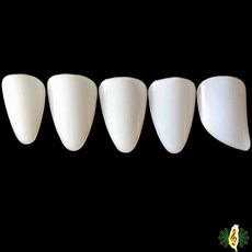 琵琶指甲 演奏級 尼龍義甲 大號 5片一組, 1個