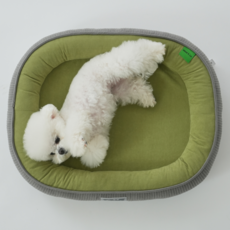 강아지 고양이 마약방석 사계절 푹신한 애견방석 거실용 미끄럼방지 대형견 중형견 소형견 펫방석, 그린, 1개