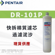 PENTAIR DR-101P 快拆式前置棉質濾心, 1個