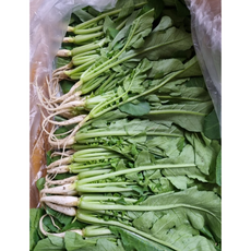 국내산 싱싱 열무, 1개, 6kg