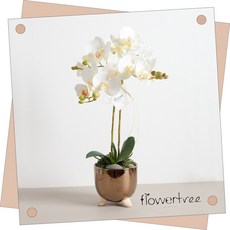 가을 감성 인테리어 조화장식 99종 조화화분 플트 D, D21.브론즈호접란수반set 53cm_P-화이트, 1개