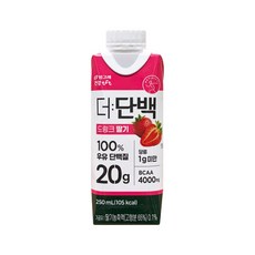 빙그레 더단백 드링크 딸기 250ml 36개 / 단백질 프로틴 보충 음료