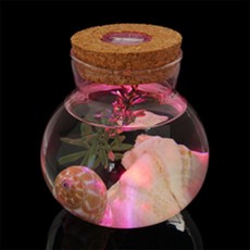 마르셀레 마리모 키우기 LED 코르크 유리병 관찰학습