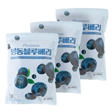 당도높은 무첨가 100% 냉동블루베리 1KG, 1kg(중국), 3개