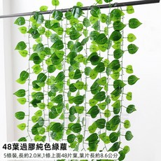 優選樂購 仿真藤條 綠蘿葉裝飾 綠藤藤蔓 假樹葉 塑膠花藤 水管道遮擋 空調遮擋 仿真綠葉花, 48葉過膠純色綠蘿5條, 1個
