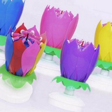 행사 회전 연꽃 초 6종류 생일초 촛불 멜로디, 옐로우