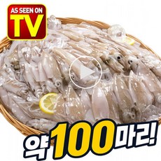 통째 먹는 총알한치 100마리 미니오징어 생물 한치, 1세트, 1.2kg
