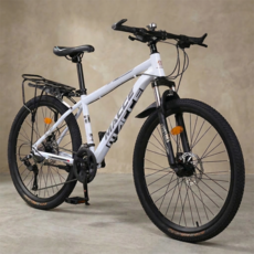 자전거연구소 알루미늄프레임 MTB자전거 21단변속 산악 가성비 입문용, 1세트, 170cm, 26인치 / 매트 티타늄그레이 / 알루미늄프레임