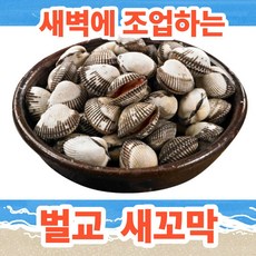 벌교 쫄깃한 생물 새꼬막 1kg 제철 꼬막무침용 꼬막비빔밥, 1세트, 벌교 새꼬막 소 125미 내외 1kg