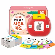 한글 영어 사운드 카드 낱말카드 유아낱말카드, 기본