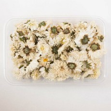 天然乾燥花材盒 DIY花藝材料 香氛蠟燭裝飾 壓花材料, 白菊
