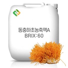 동충하초농축액A 60Brix 200g 샘플, 1개