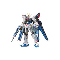 RG 기동전사 건담 SEED DESTINY ZGMF-X20A 스트라이크 프리덤 건담 1144 스케일 색으로 구분된 프라모델, 1개