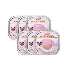 (매장정품) 로얄캐닌 마더앤베이비캣캔 트레이 100g 6개 253171