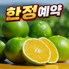 [200박스선착순예약] 새콤달콤 제주 청귤 풋귤, 1박스, 3kg