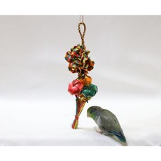 嘟嘟鳥寵物 美國普拉尼 碎球機 (小號) 寵物玩具 耐用材質 激發狩獵本能, 1個