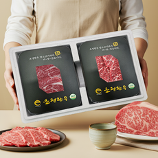 초정한우 1++등급 한우 선물세트 구이용 3호 800g(등심400g+갈비살400g), 1개