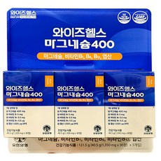 와이즈헬스 마그네슘400 40.5g, 3개, 30정