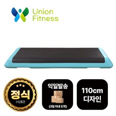 [유니언피트니스] 피트니스용 스텝박스 대형 110x42cm 세트할인 1개 5개세트 10개세트, 스카이블루 1개