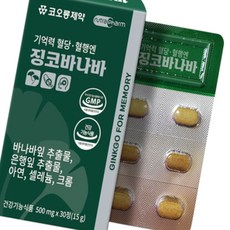 돈스텔 바나바잎추출물 기억력 혈당혈행엔 징코바나바 500mg x 30정, 1개