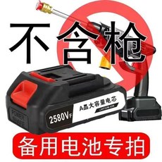 바이픽 무선 충전식 차량 휴대용 작물 정워 원예 과수원 세척기 급수 세차 가정용, J. 배터리만 배터리만