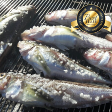 동해바다직송 알배기 도루묵 햇 도루묵, 1박스, 1kg