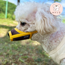 해리스힐 초경량 메쉬 컬러 입마개 XS, 1개, 골든옐로우